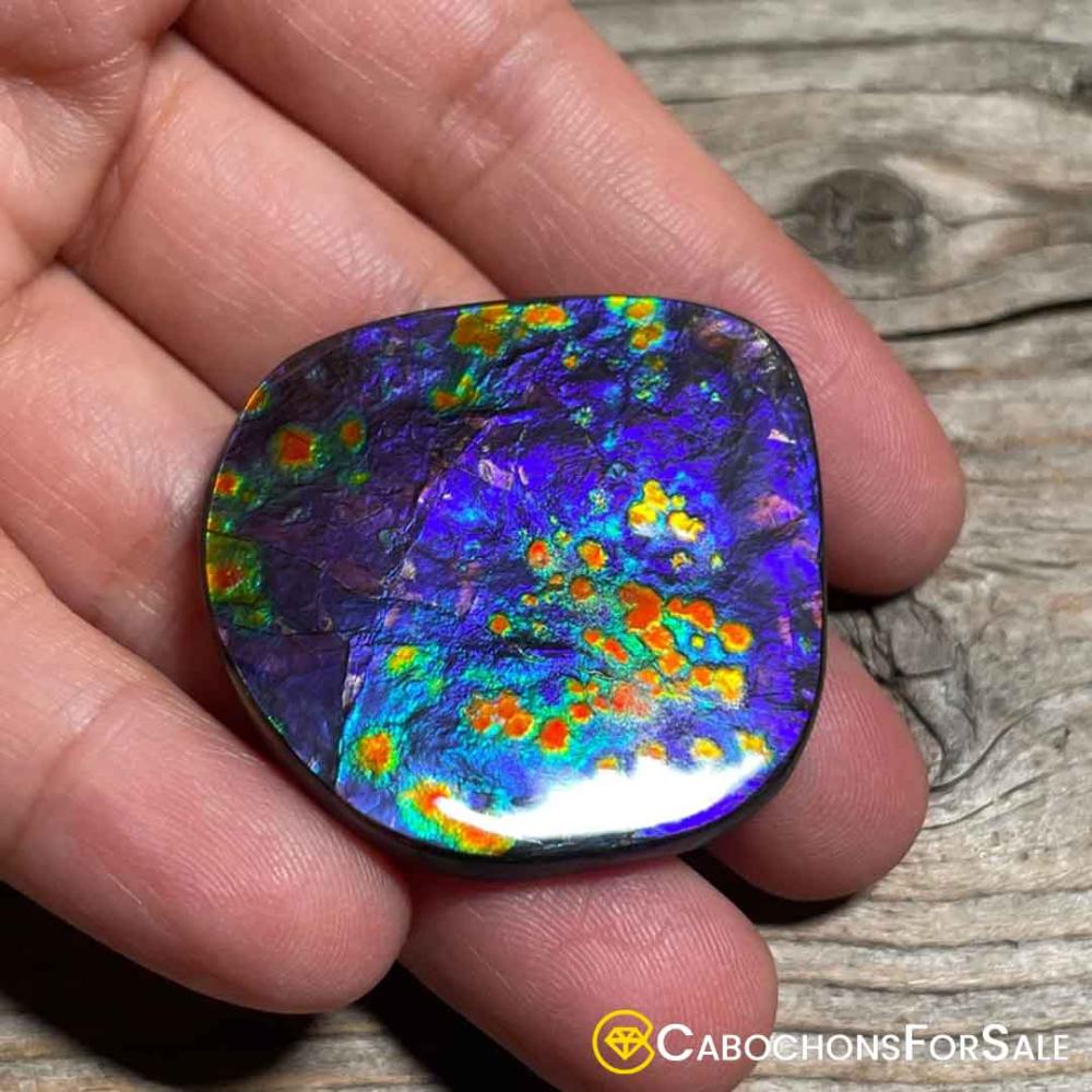 ammolite gemstone