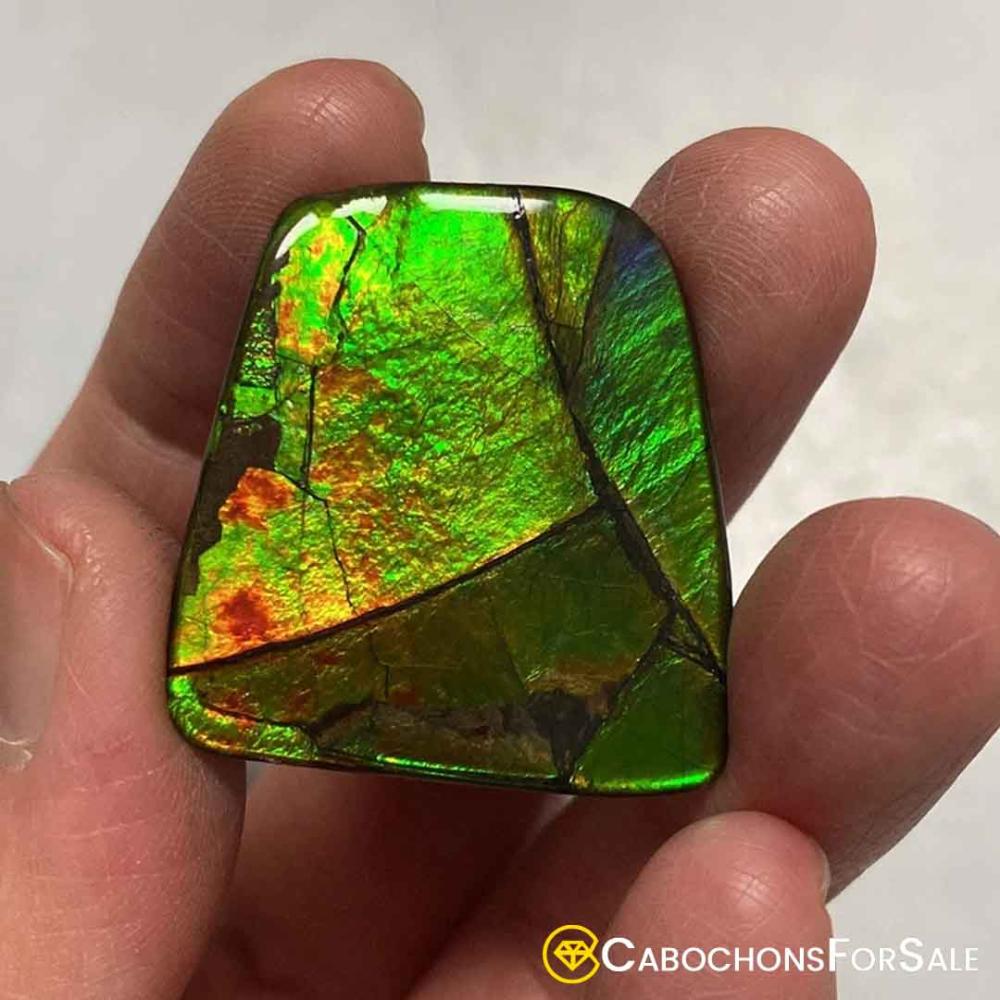 ammolite pairs