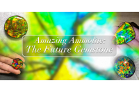 Amazing Ammolite: The Future Gemstone