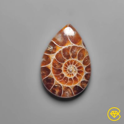 Ammonite Cabochon