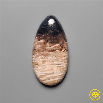 Indonesian Palmroot Agate Cabochon