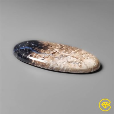 Indonesian Palmroot Agate Cabochon
