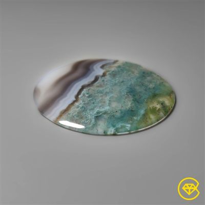Moss Agate Large Round Cabochon