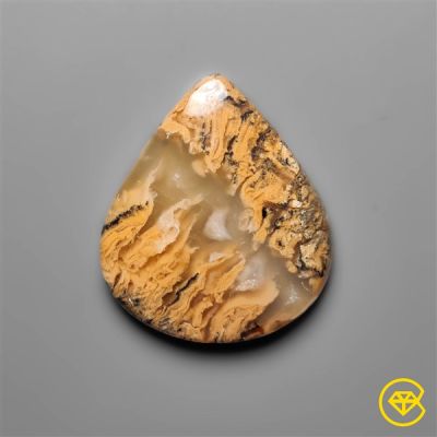 Australian Tiger Dendritic Agate Cabochon