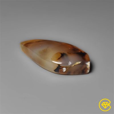 Montana Agate Cabochon