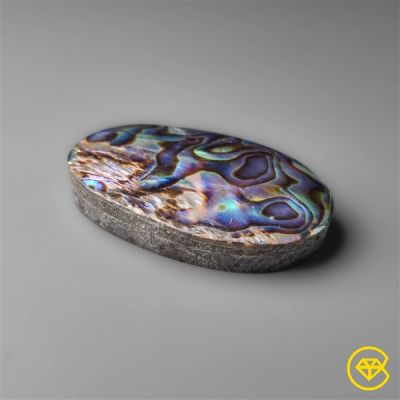 Abalone Shell / Paua Shell (backed)