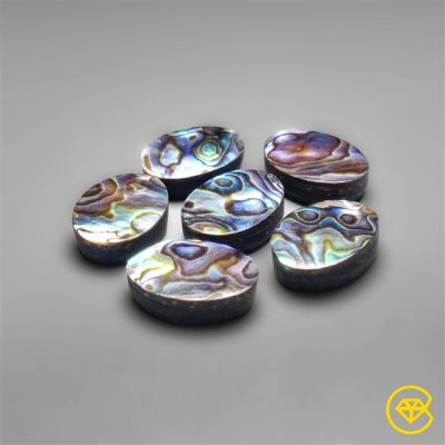 18X13 mm Abalone Shells / Paua Shells Calibrated Lot (Backed)