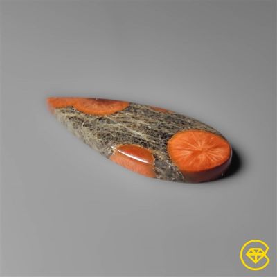 Peanut Wood Obsidian Cabochon