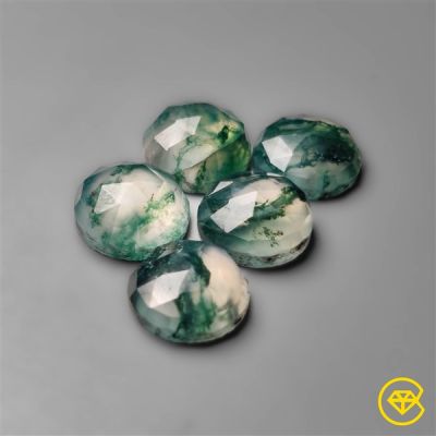 Rose Cut Moss Agate Calibrated Lot