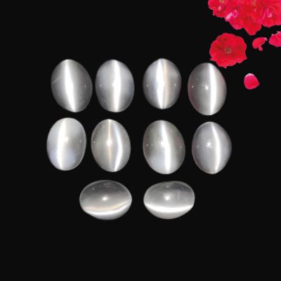 White Moonstone Cats Eye Calibrated Lot