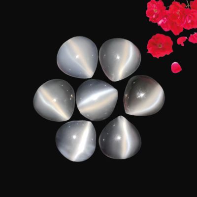 White Moonstone Cats Eye Calibrated Lot