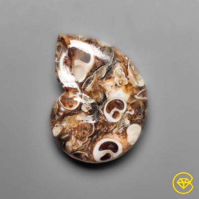 12 Carat Turritella Jasper Ammonite Carving 20X15X5 mm From Wyoming