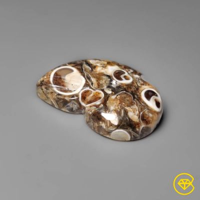 12 Carat Turritella Jasper Ammonite Carving 20X15X5 mm From Wyoming