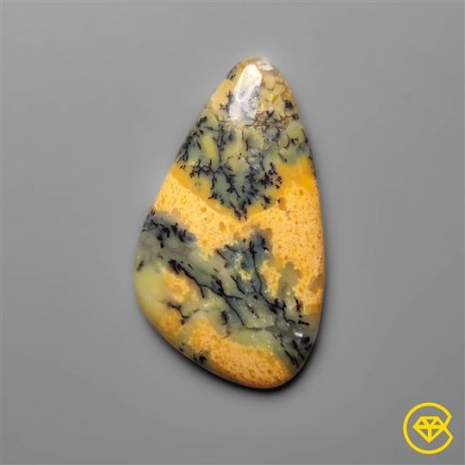 Australian Yellow Dendritic Agate