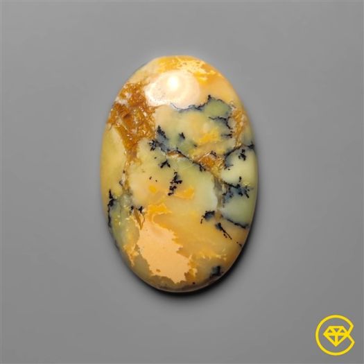 Australian Yellow Dendritic Agate