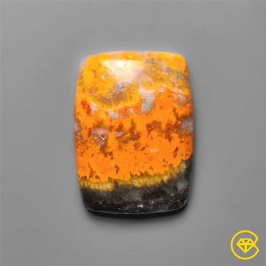 Bumble Bee Jasper Cabochon