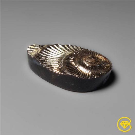 Rare Pyritized Ammonite Fossil Negative (natural sparkle pyrite)