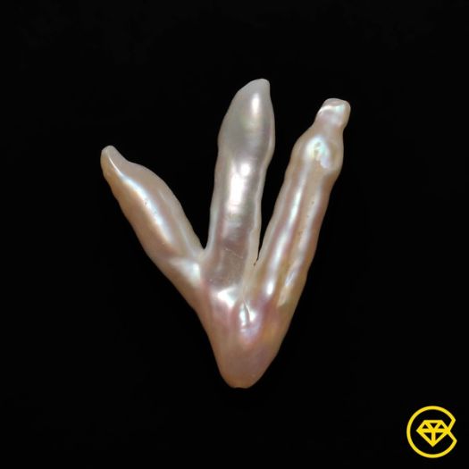 Naturally Forming Freshwater Pearl Arrow