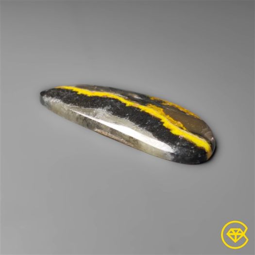 Bumble Bee Jasper Cabochon