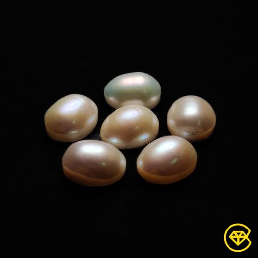 11X9 mm Freshwater Pearls Oval Calibrated Lot