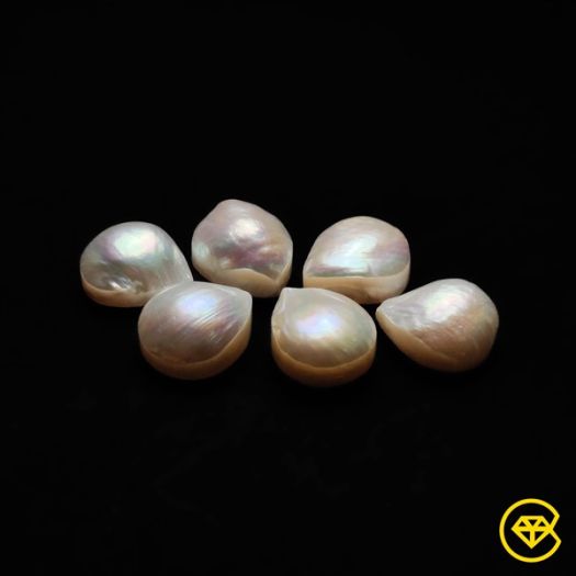 14X12 mm Rare Large Freshwater Pearls Teardrop Calibrated Lot