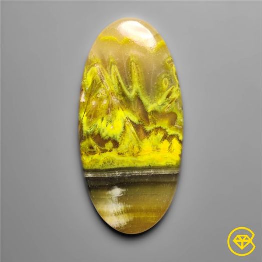 Bumble Bee Jasper with Calcite