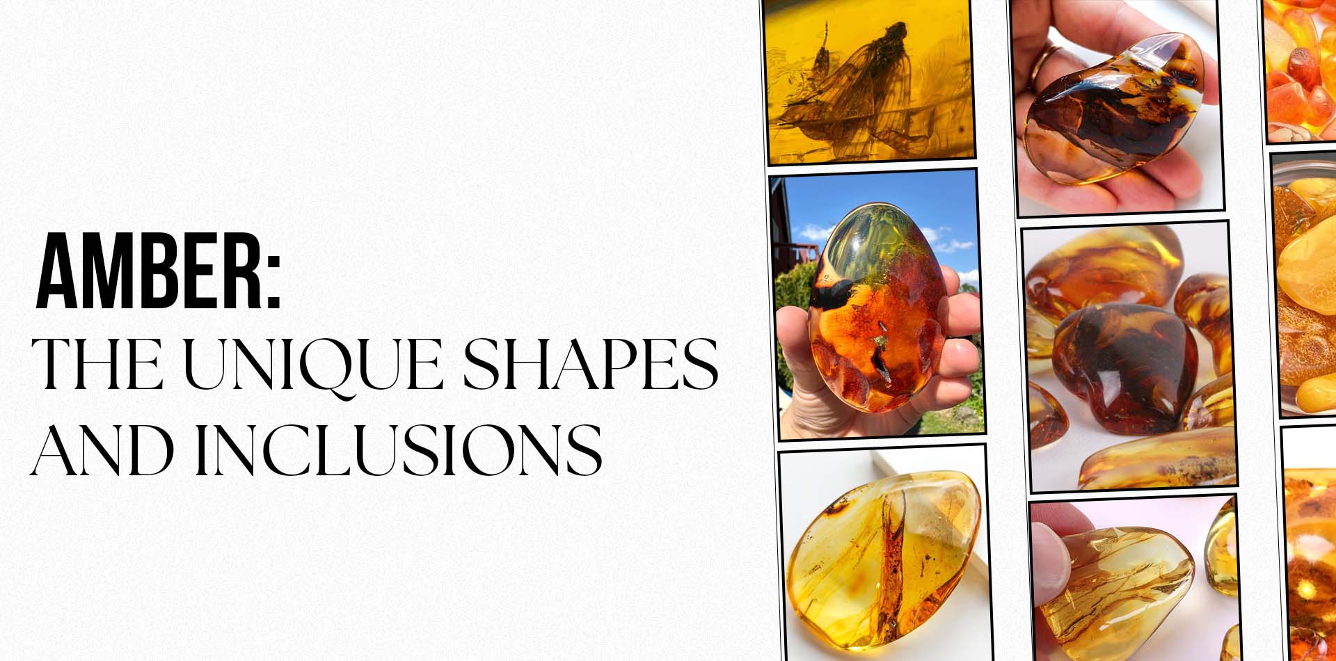 Amber: The Unique Shapes and Inclusions